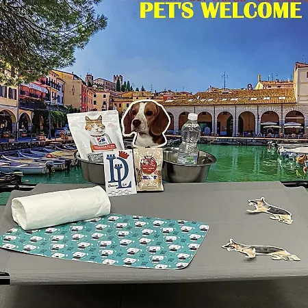 Desenzanoloft Official Partner Marriott Homes & - A Casa Di Attila Apartment